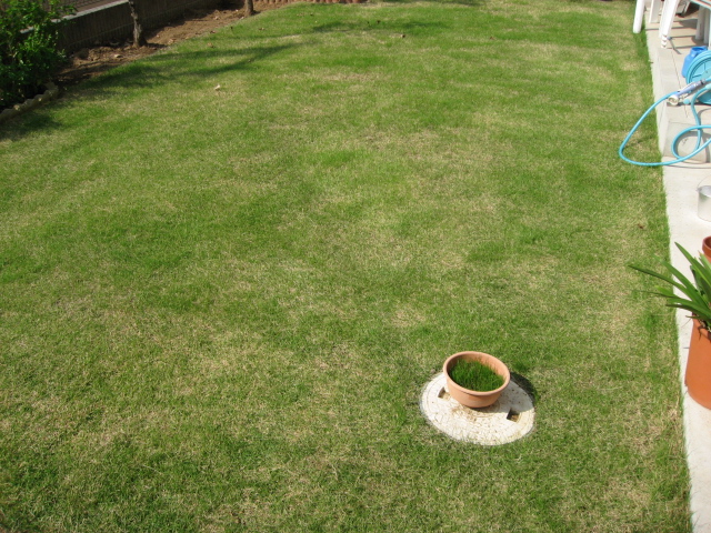 f0088864_1333598.jpg