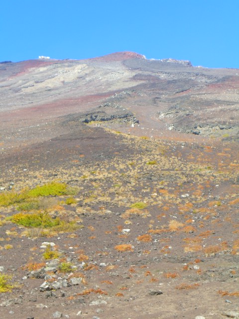 d0072395_10145956.jpg
