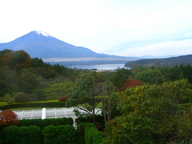 d0072395_11423849.jpg