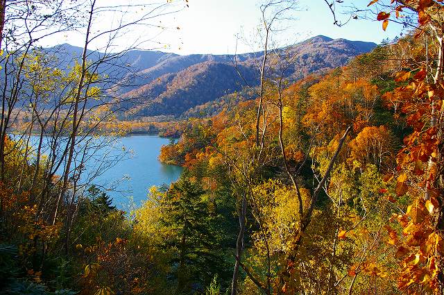 恵庭渓谷の紅葉 デジカメ持って野に山に 恵庭渓谷の紅葉 デジカメ持って野に山に