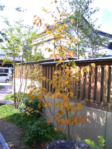 d0069498_17492452.jpg