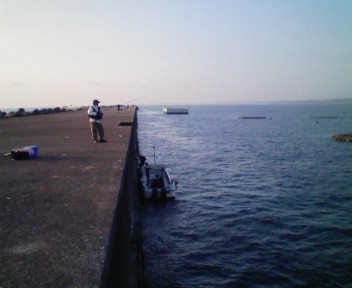 d0078105_145626.jpg