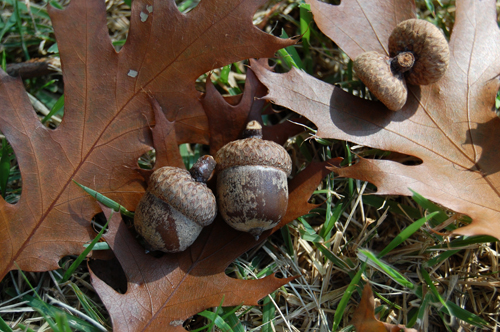 d0015006_1512412.jpg