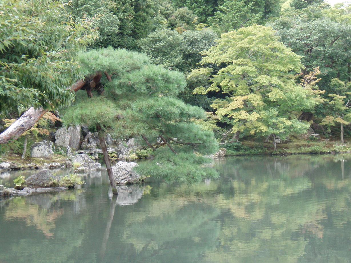 天龍寺大方丈＆曹源池　　　人溢れ座して汗ふく曹源池_d0051106_03599.jpg