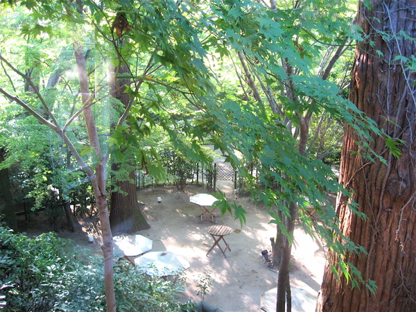 e0001406_11302065.jpg