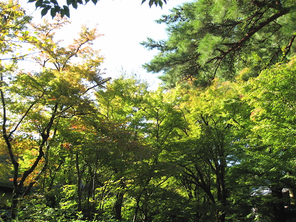 e0001406_113188.jpg