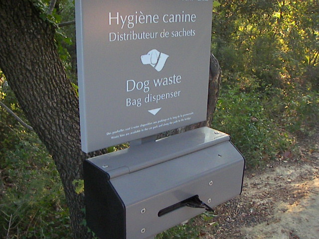 f0038407_547879.jpg
