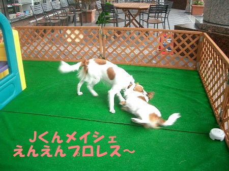 記念撮影_c0065512_8231019.jpg