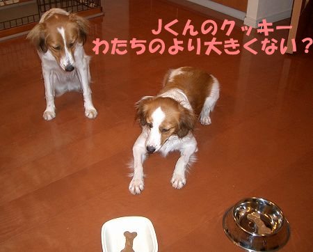 記念撮影_c0065512_8292871.jpg