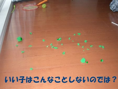 そろそろ?やっと?_c0065512_833691.jpg