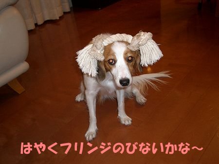 レッスン1回目_c0065512_8351461.jpg