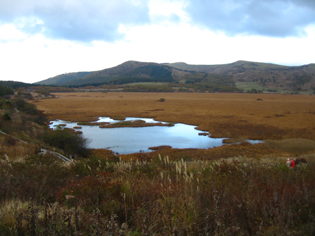 b0093515_7345276.jpg