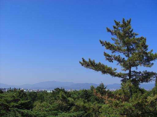 c0005619_1814699.jpg