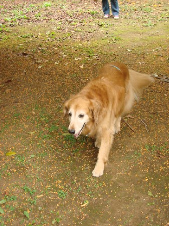 f0035927_14153779.jpg