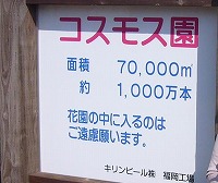 d0086228_10534978.jpg