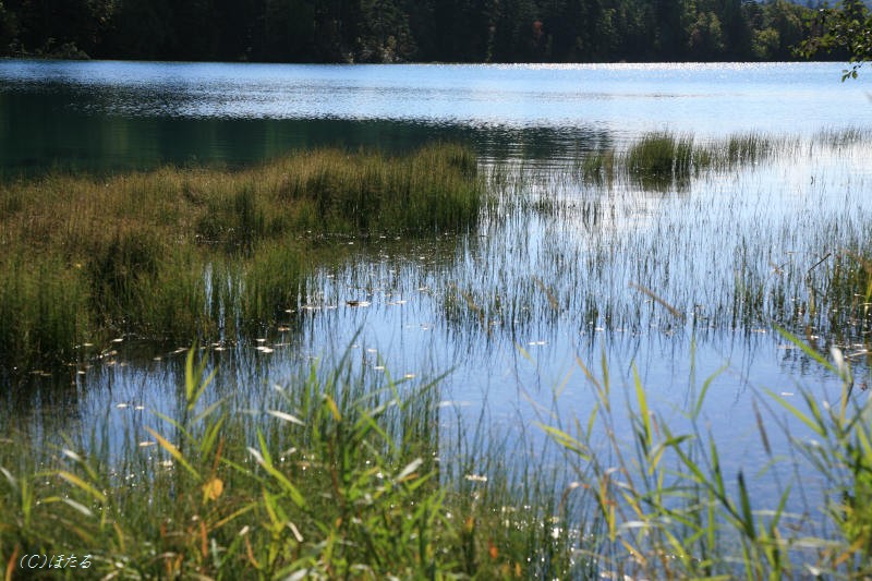 f0017530_20311426.jpg