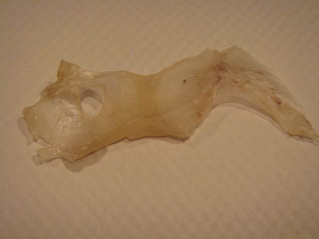 d0082944_44955.jpg