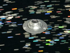 e0005548_23422828.gif