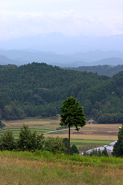 d0118451_20151738.jpg