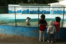 e0080452_22394175.jpg