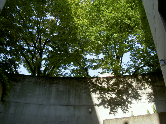 morning shine_a0071956_195037.jpg