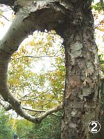 c0097856_071248.jpg