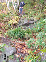 c0097856_074647.jpg