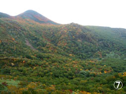 c0097856_1636384.jpg