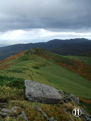 c0097856_16593796.jpg