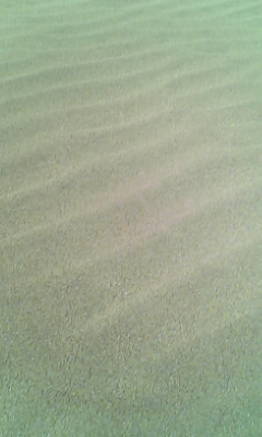 f0073958_1694160.jpg