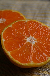 a0098859_0141987.jpg