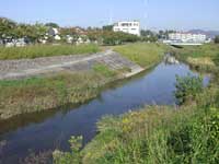d0129766_215844.jpg