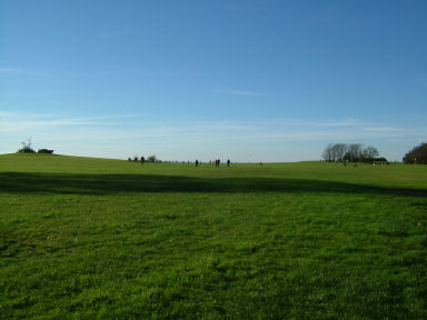 e0079166_351336.jpg