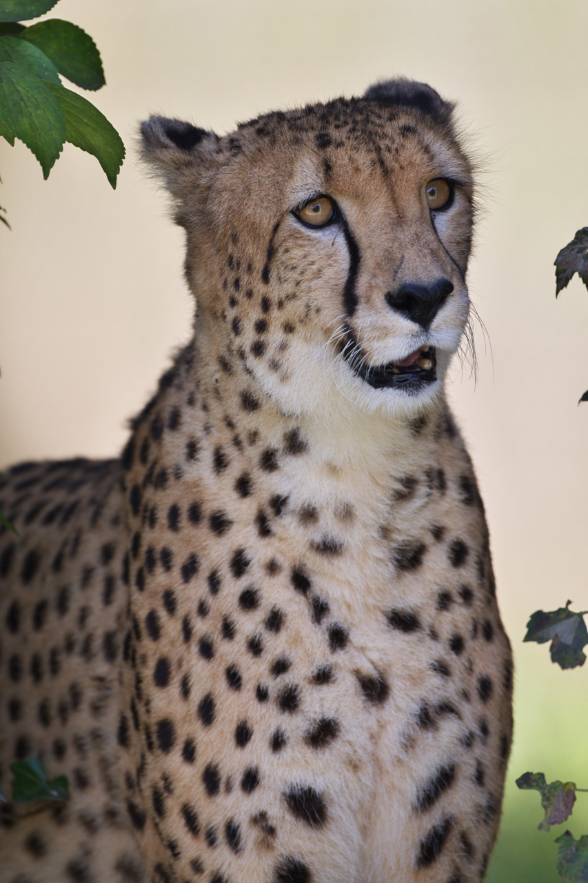 多摩動物公園170_e0060169_710493.jpg