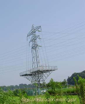 a0091680_16362849.jpg