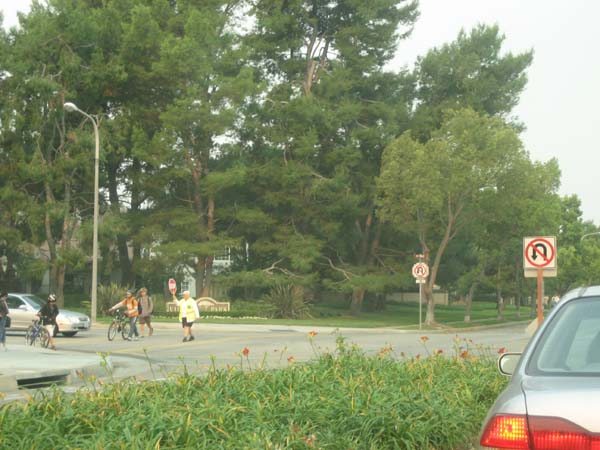 c0026482_8132698.jpg
