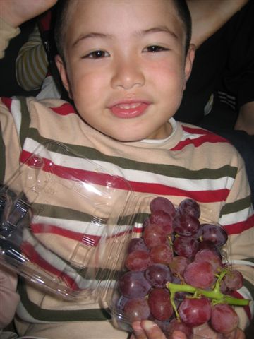 6人目妊娠中 トルコ子育て生活