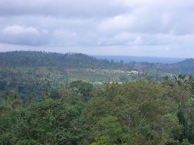 b0101284_21102487.jpg