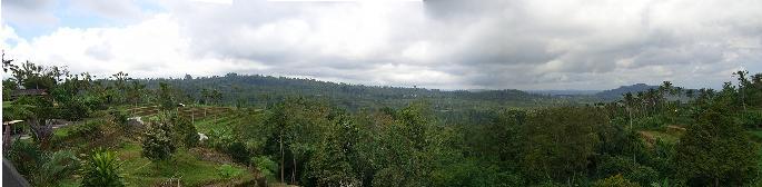 b0101284_219323.jpg