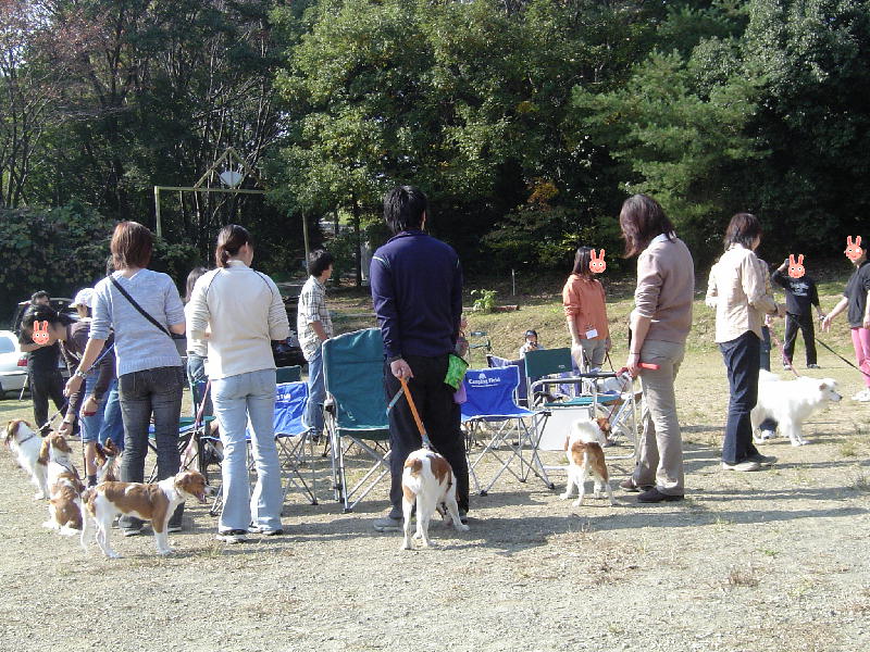 c0075585_23562.jpg