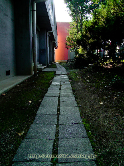 c0133189_7455843.jpg
