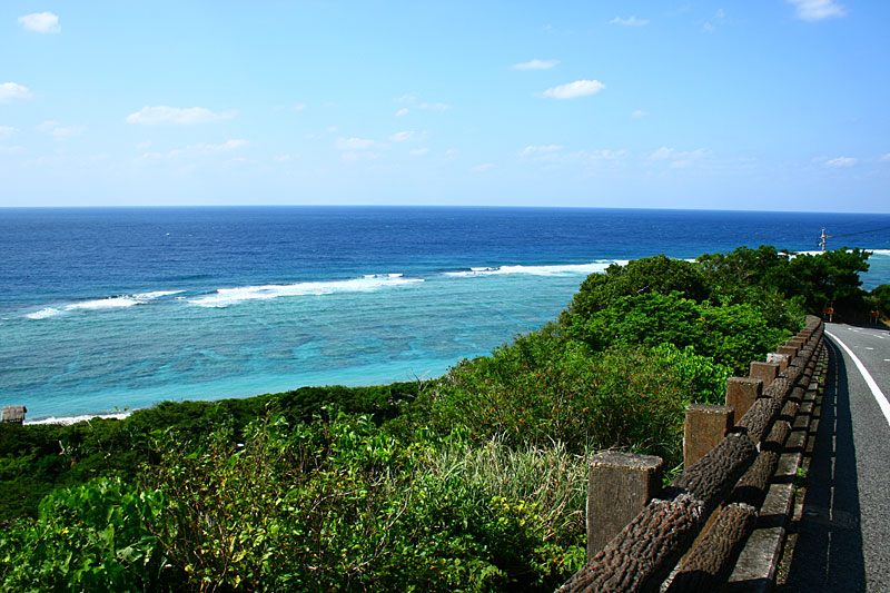 a0078698_11441159.jpg