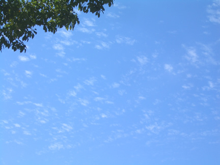 b0067598_21333165.jpg