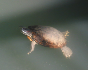 f0146198_031216.jpg