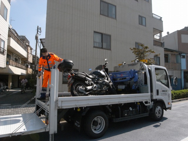 c0031105_1363771.jpg