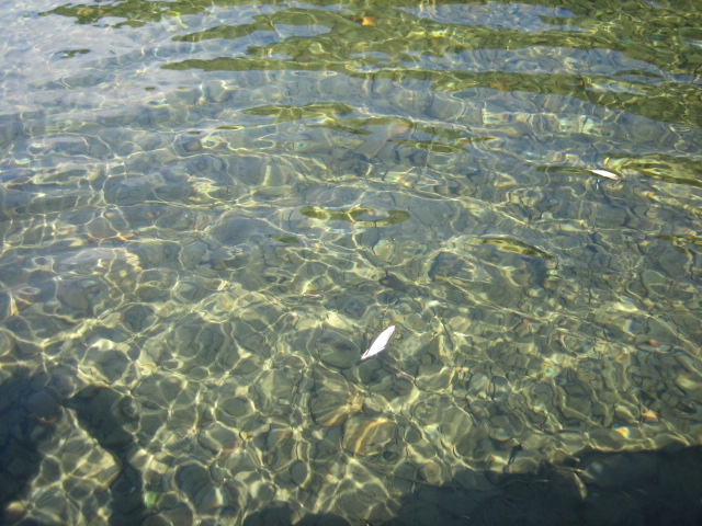 a0064506_1113247.jpg