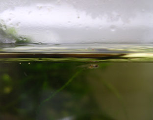c0111410_241474.jpg