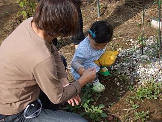 2回目・山梨の別荘へ♪&お食い初め_e0047610_8521256.jpg