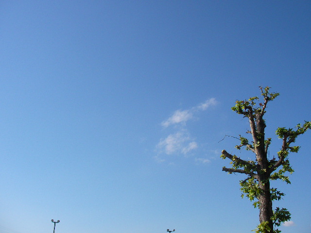 f0054610_16313723.jpg