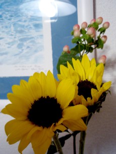 f0043911_1373254.jpg